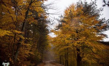 Qafështama, destinacioni më i frekuentuar gjatë dimrit për të apasionuarit ndaj natyrës