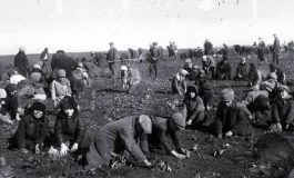 Gollodomor (vdekje prej urisë): Historia e fjalës së panjohur, që la miliona të vdekur në më pak se një vit