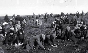 Gollodomor (vdekje prej urisë): Historia e fjalës së panjohur, që la miliona të vdekur në më pak se një vit