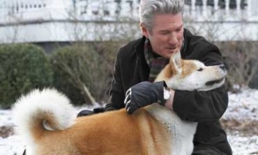 Besnikëria e qenve. Nga Hachiko tek Hawkeye, pse janë qentë kaq besnikë dhe të dashur?