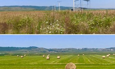 ERJON BRAÇE/ Ja krimi me super tokën bujqësore