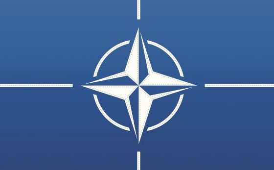 VICTOR DAVIS-HANSON/ Vetëm reformimi mund ta shpëtojë NATO-n