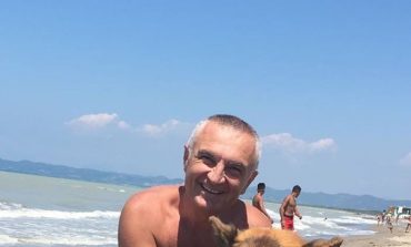 SHPËTIM LUKU/ Ilir Meta një "kafshë" jopolitike!