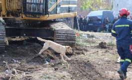 BASHKIM KOPLIKU/ Drejtësia e para vettingut, la 32 njerëz t’i vrasë tërmeti