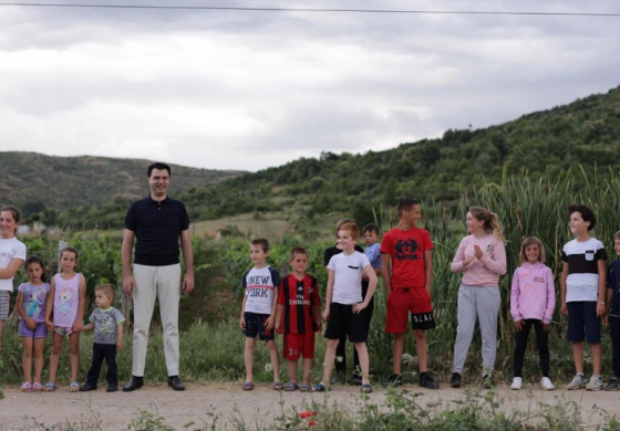 NAMIR LAPARDHAJA/ Garancitë që PD u ka borxh shqiptarëve