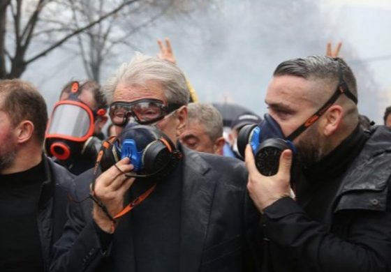 MERO BAZE/ Ja pse Sali Berisha, nuk donte të merrte PD zyrtare