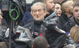 NAMIR LAPARDHAJA/ Pse Berishës i intereson dhuna?