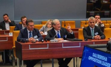 YLLI PATA/ Nga Roshi te Doshi, pasojat e “aleancave lokale” të Berishës